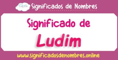 Significado de Ludim