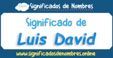Significado de Luis David