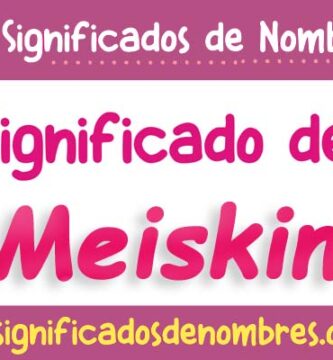 Significado de Meiskin
