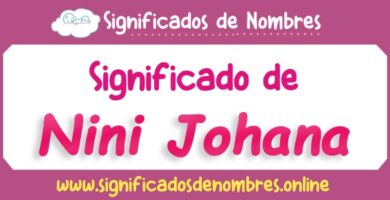 Significado de Nini Johana
