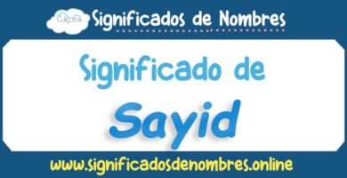 Significado de Sayid
