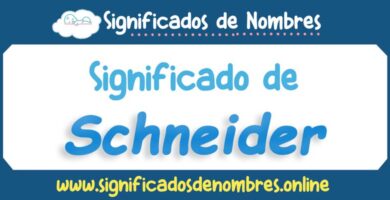 Significado de Schneider