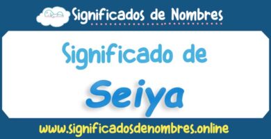 Significado de Seiya