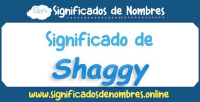 Significado de Shaggy