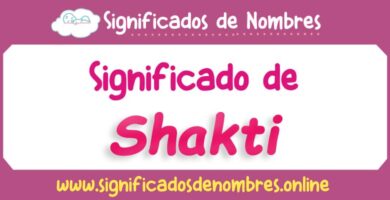 Significado de Shakti