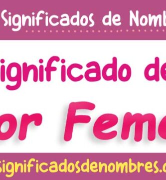 Significado de Taylor Femenino