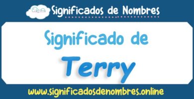 Significado de Terry