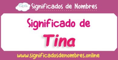 Significado de Tina
