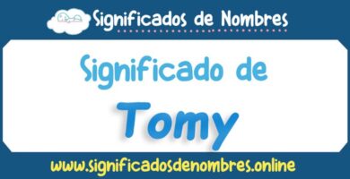 Significado de Tomy