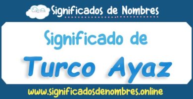 Significado de Turco Ayaz