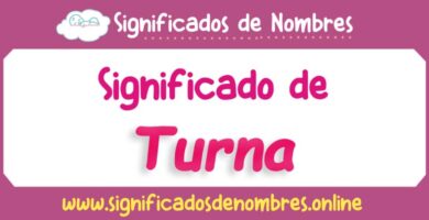 Significado de Turna