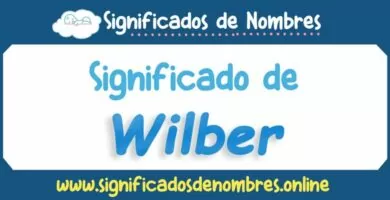 Significado de Wilber