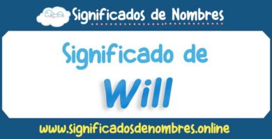 Significado de Will