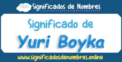 Significado de Yuri Boyka