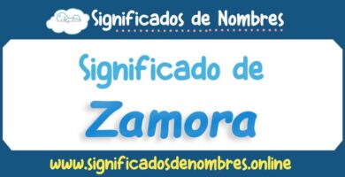 Significado de Zamora