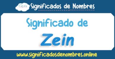 Significado de Zein