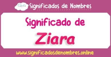Significado de Ziara