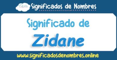 Significado de Zidane