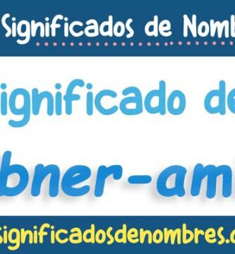 Significado de Abner Amin