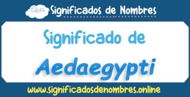 Significado de Aedaegypti