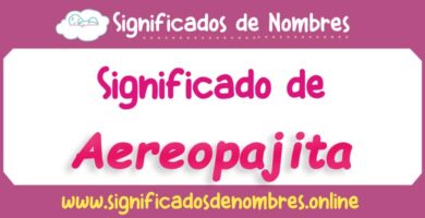 Significado de Aereopajita