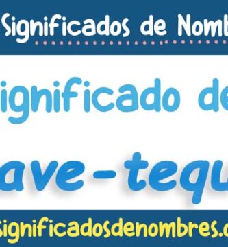 Significado de Agave Tequila