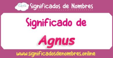 Significado de Agnus