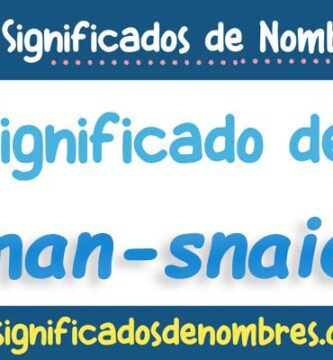 Significado de Aleman Snaidher