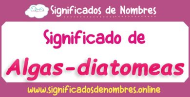 Significado de Algas Diatomeas
