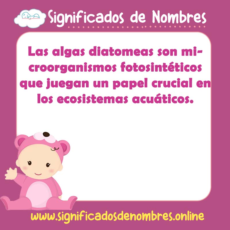 Significado y origen del nombre Algas Diatomeas