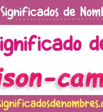 Significado de Alison Camila