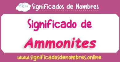 Significado de Ammonites