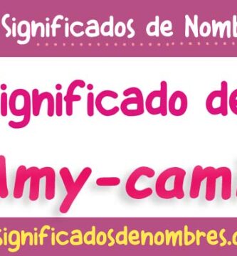 Significado de Amy Camil