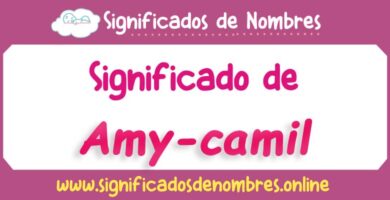 Significado de Amy Camil