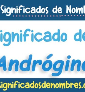 Significado de Andrógino