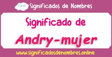 Significado de Andry Mujer