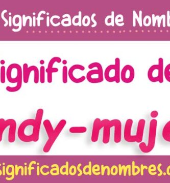 Significado de Andy Mujer