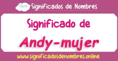 Significado de Andy Mujer