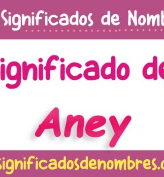 Significado de Aney