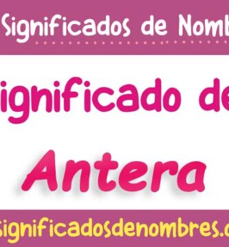 Significado de Antera