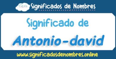 Significado de Antonio David