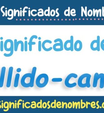 Significado de Apellido Camara