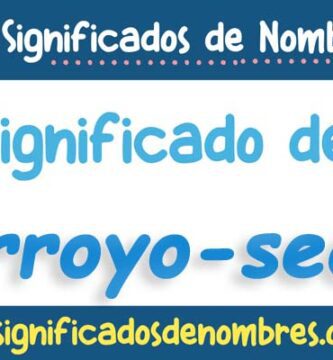 Significado de Arroyo Seco