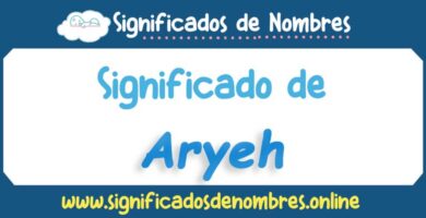 Significado de Aryeh