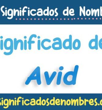 Significado de Avid